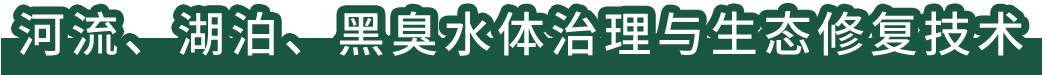 河流、湖泊、黑臭水體治理與生態(tài)修復(fù)技術(shù)