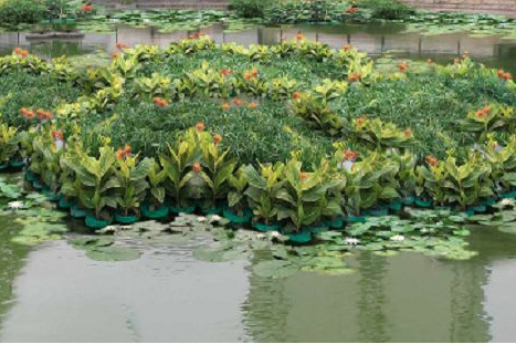 常見(jiàn)河道、濕地水生態(tài)修復(fù)技術(shù)節(jié)選