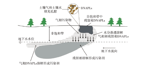 DNAPLs泄漏至地表后，受到重力作用向下遷移